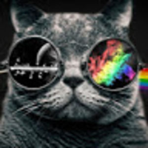 Meet your Posher, Mariel